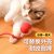 Cat Toy Cat Smart Cat Ball Self-Hei to relieve boredom Xiao Mao Auto-avoid Pet Electric Stick Artifact 1ps