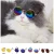 Cat Sunglass Toy - Multicolour