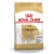 Royal Canin Chihuahua Adult Dry Dog Food 1.5 kg