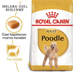 Royal Canin Poodle Adult 3kg