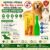 Flea Killer Spot On – Cat & Dog