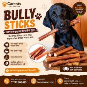 Premium Bully Sticks 250 gm 6'