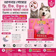 Chinese Flea Killer Cat & Dog Spot On 1ml B